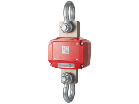 Kern Crane Scale HFD 1T-4IP, Balances and Scales, Kern, MSE Supplies