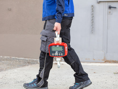 Kern Crane Scale HFD 3T-3IP, Balances and Scales, Kern, MSE Supplies