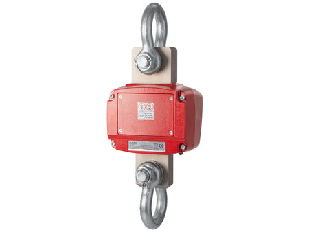 Kern Crane Scale HFD 600K-1, Balances and Scales, Kern, MSE Supplies