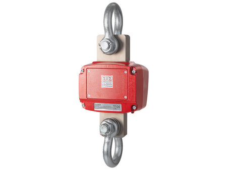 Kern Crane Scale HFD 6T-3M, Balances and Scales, Kern, MSE Supplies