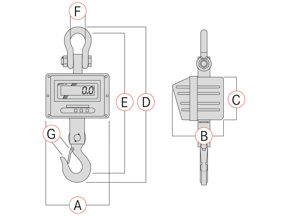 Kern Crane Scale HFM 1T0.1, Balances and Scales, Kern, MSE Supplies