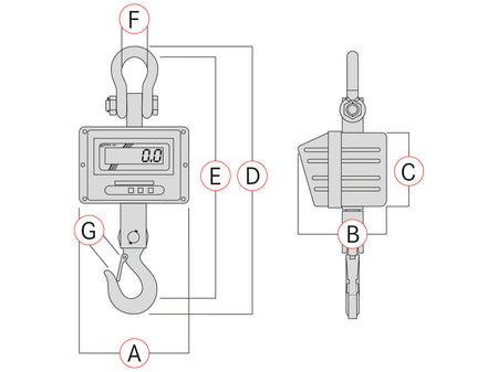 Kern Crane Scale HFM 1T0.1, Balances and Scales, Kern, MSE Supplies