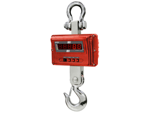 Kern Crane Scale HFM 1T0.1, Balances and Scales, Kern, MSE Supplies