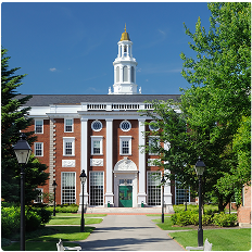 Customized FTO Glass Slides