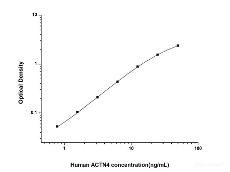 Human ACTN4(Actinin Alpha 4) ELISA Kit, Cell Assays, Elabscience Biotechnology, MSE Supplies