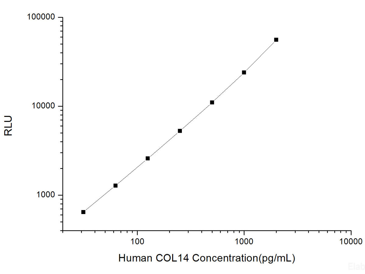 Human COL14 (Collagen Type ⅩⅣ) CLIA Kit, Cell Assays, Elabscience Biotechnology, MSE Supplies