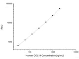 Human COL14 (Collagen Type ⅩⅣ) CLIA Kit, Cell Assays, Elabscience Biotechnology, MSE Supplies