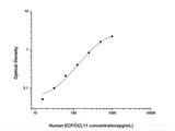 Human ECF/CCL11(Eosinophil Chemotactic Factor) ELISA Kit, Cell Assays, Elabscience Biotechnology, MSE Supplies