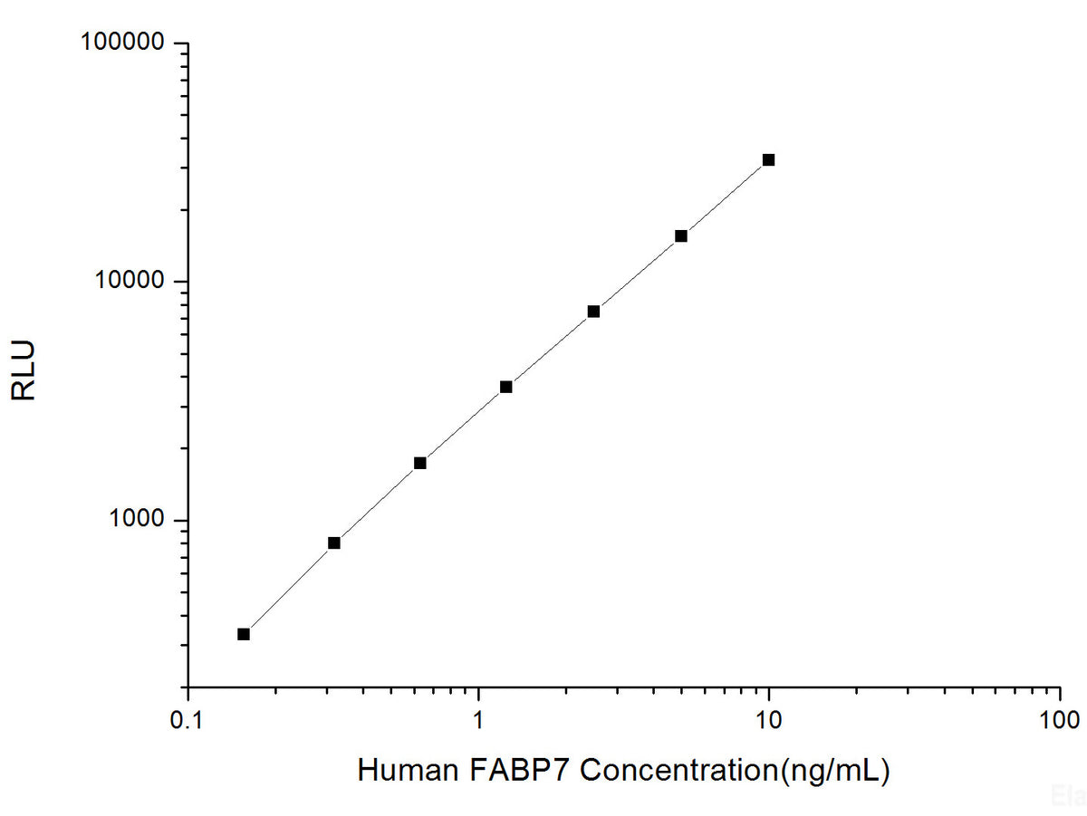 Human FABP7 (Fatty Acid Binding Protein 7, Brain) CLIA Kit, Cell Assays, Elabscience Biotechnology, MSE Supplies