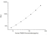 Human FNDC5 (Fibronectin Type Ⅲ Domain Containing Protein 5) CLIA Kit, Cell Assays, Elabscience Biotechnology, MSE Supplies