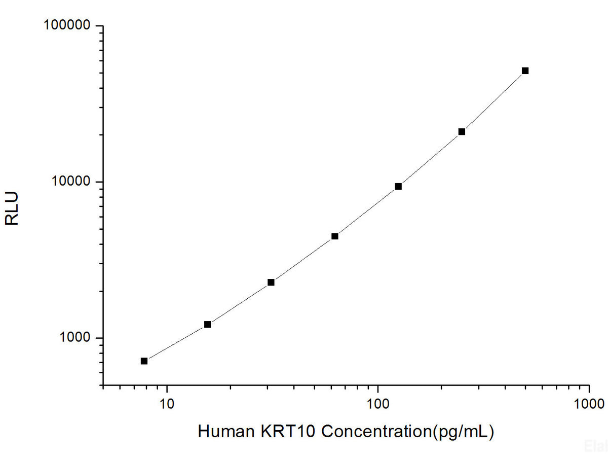 Human KRT10 (Keratin, Type I Cytoskeletal 10) CLIA Kit, Cell Assays, Elabscience Biotechnology, MSE Supplies