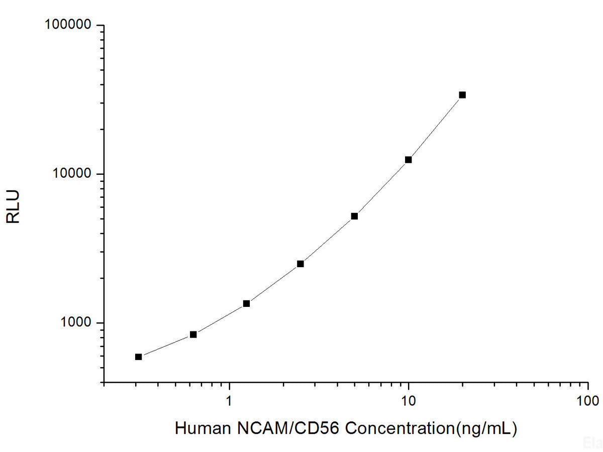 Human NCAM/CD56 (Neural Cell Adhesion Molecule) CLIA Kit, Cell Assays, Elabscience Biotechnology, MSE Supplies