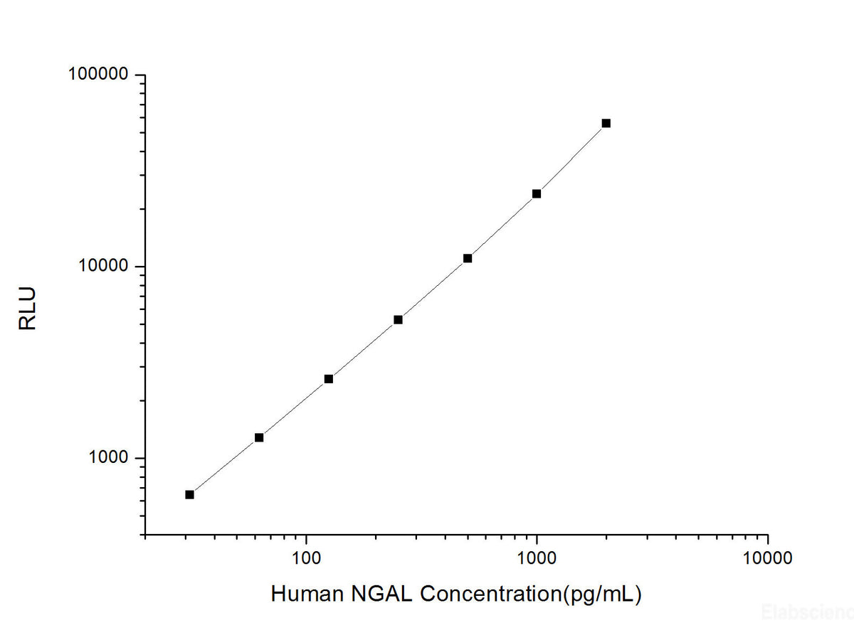 Human NGAL (Neutrophil Gelatinase Associated Lipocalin) CLIA Kit, Cell Assays, Elabscience Biotechnology, MSE Supplies