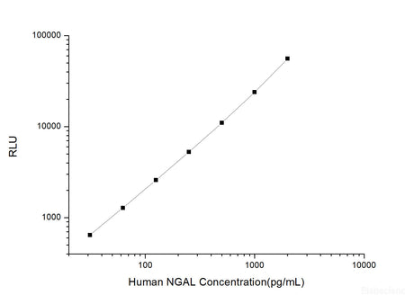 Human NGAL (Neutrophil Gelatinase Associated Lipocalin) CLIA Kit, Cell Assays, Elabscience Biotechnology, MSE Supplies