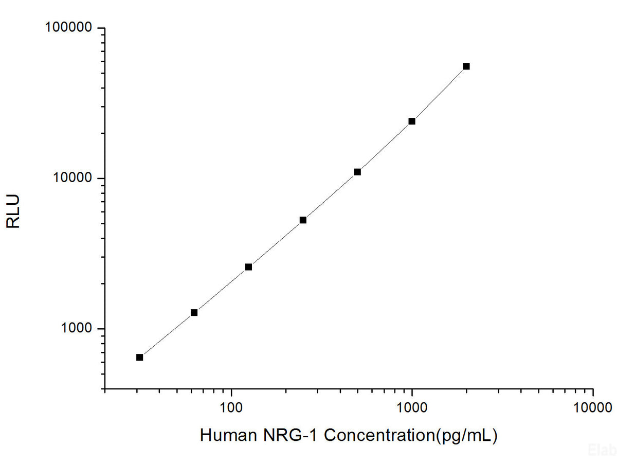Human NRG-1 (Neuregulin 1) CLIA Kit, Cell Assays, Elabscience Biotechnology, MSE Supplies