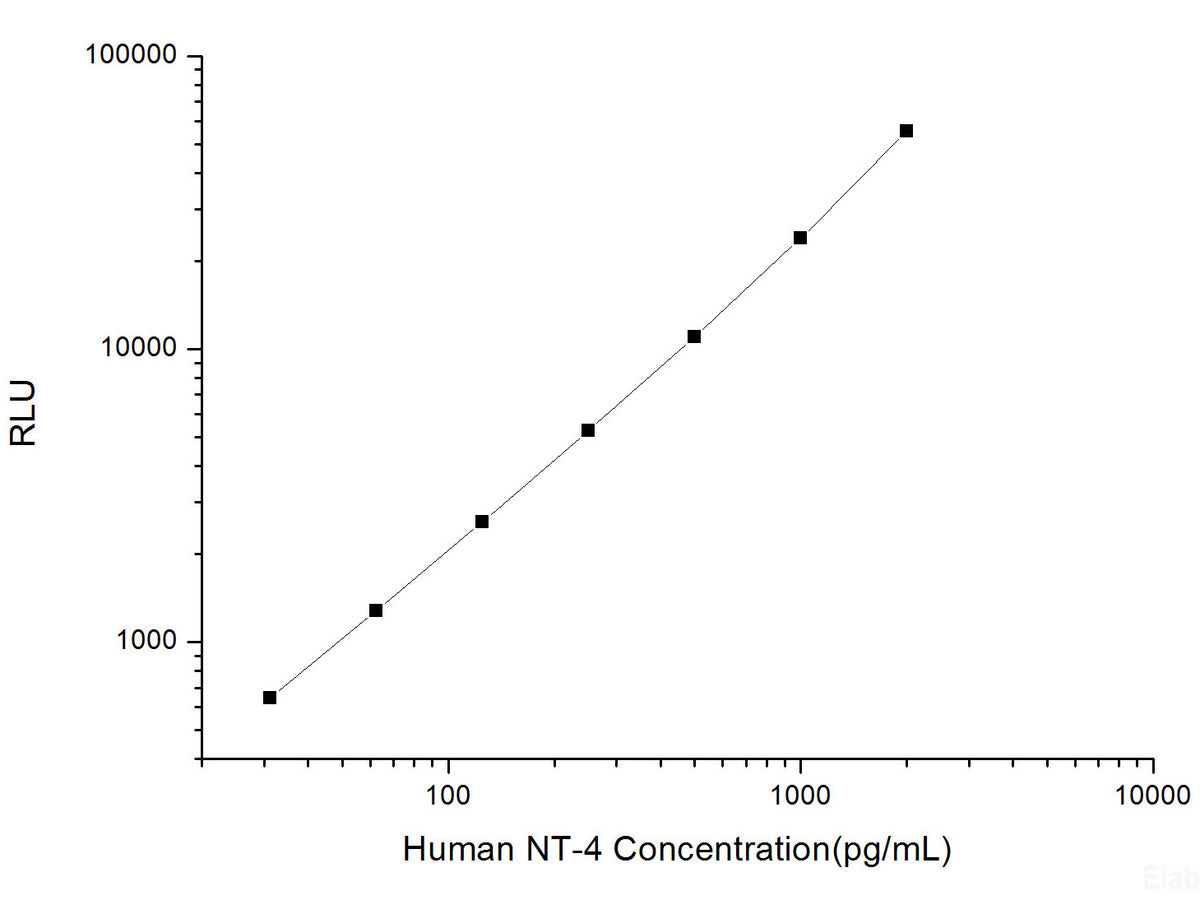 Human NT-4 (Neurotrophin 4) CLIA Kit, Cell Assays, Elabscience Biotechnology, MSE Supplies
