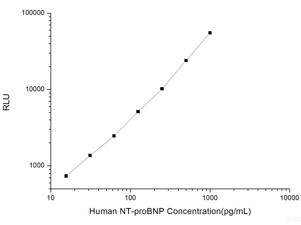Human NT-proBNP (N-Terminal Pro-Brain Natriuretic Peptide) CLIA Kit, Cell Assays, Elabscience Biotechnology, MSE Supplies