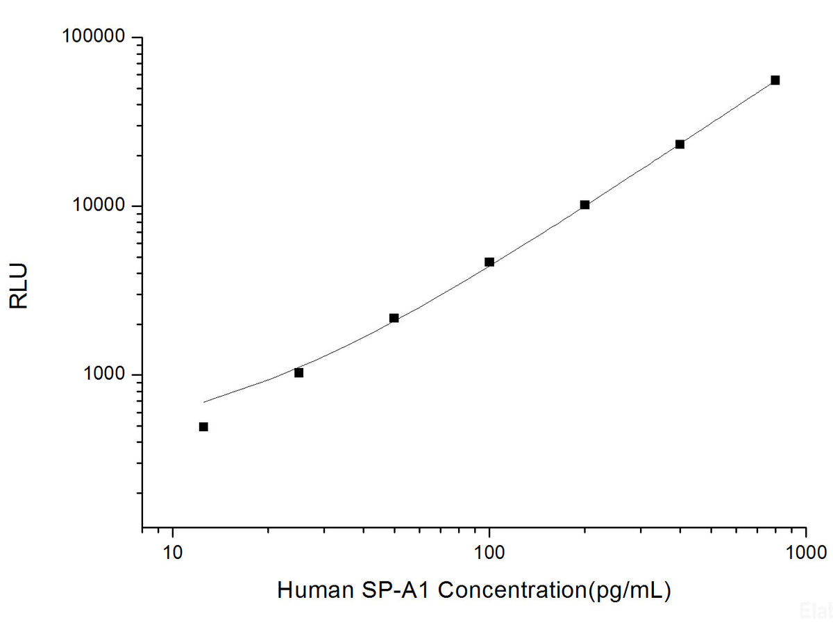 Human SP-A1 (Pulmonary Surfactant-Associated Protein A1) CLIA Kit, Cell Assays, Elabscience Biotechnology, MSE Supplies