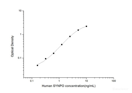 Human SYNPO(Synaptopodin) ELISA Kit, Cell Assays, Elabscience Biotechnology, MSE Supplies
