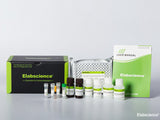 Human IL-10 (Interleukin 10) CLIA Kit, Cell Assays, Elabscience Biotechnology, MSE Supplies