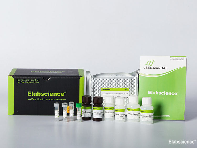 Human NGAL (Neutrophil Gelatinase Associated Lipocalin) CLIA Kit, Cell Assays, Elabscience Biotechnology, MSE Supplies