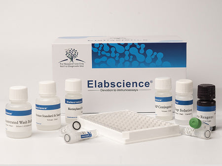 IP3(Inositol Triphosphate) ELISA Kit, Cell Assays, Elabscience Biotechnology, MSE Supplies