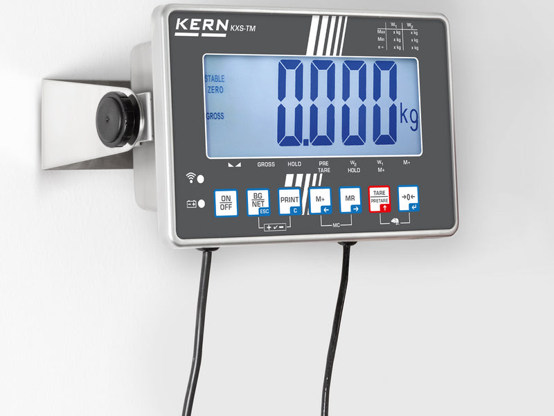 Kern Platform Scale IXS 100K-2LM, Balances and Scales, Kern, MSE Supplies