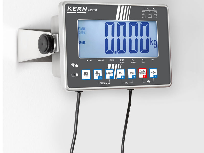 Kern Platform Scale IXS 100K-2M, Balances and Scales, Kern, MSE Supplies