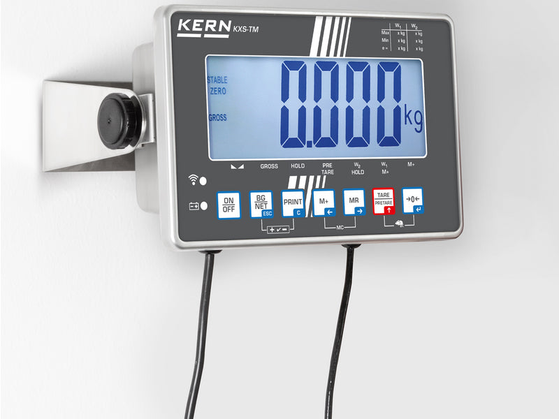 Kern Platform Scale IXS 100K-3, Balances and Scales, Kern, MSE Supplies