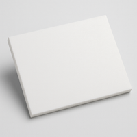MSE PRO Ceramic Alumina (Al<sub>2</sub>O<sub>3</sub>) Plate, 220mm x 220mm x 5mm