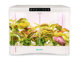 JIUPO 50L Smart Planting Chamber, Incubators and Environmental Chambers, JIUPO, MSE Supplies