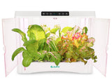 JIUPO 50L Smart Planting Chamber, Incubators and Environmental Chambers, JIUPO, MSE Supplies