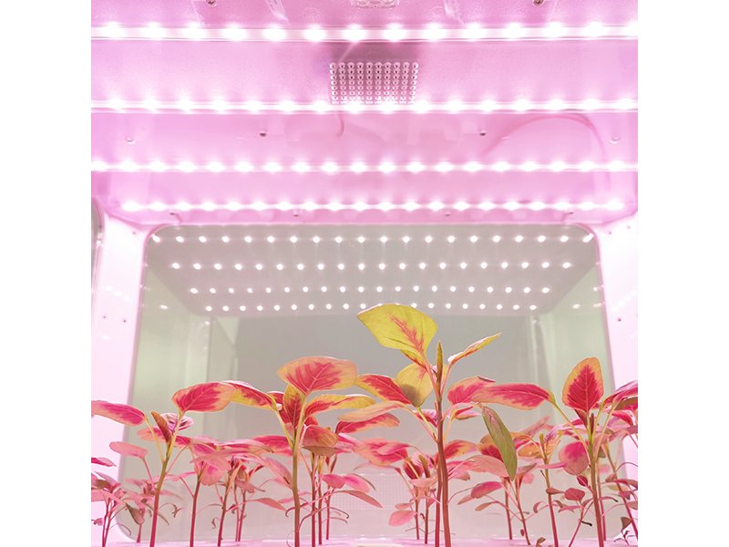 JIUPO 50L Smart Planting Chamber, Incubators and Environmental Chambers, JIUPO, MSE Supplies