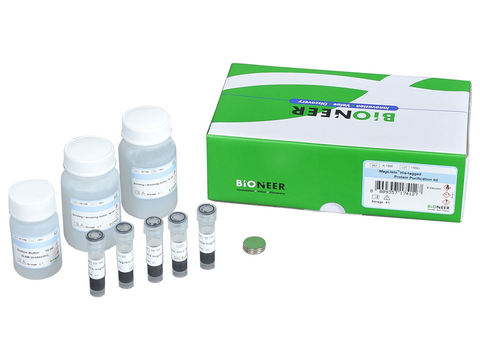 Bioneer MagListo His-tagged Protein Purification Kit (5 reactions) - MSE Supplies LLC