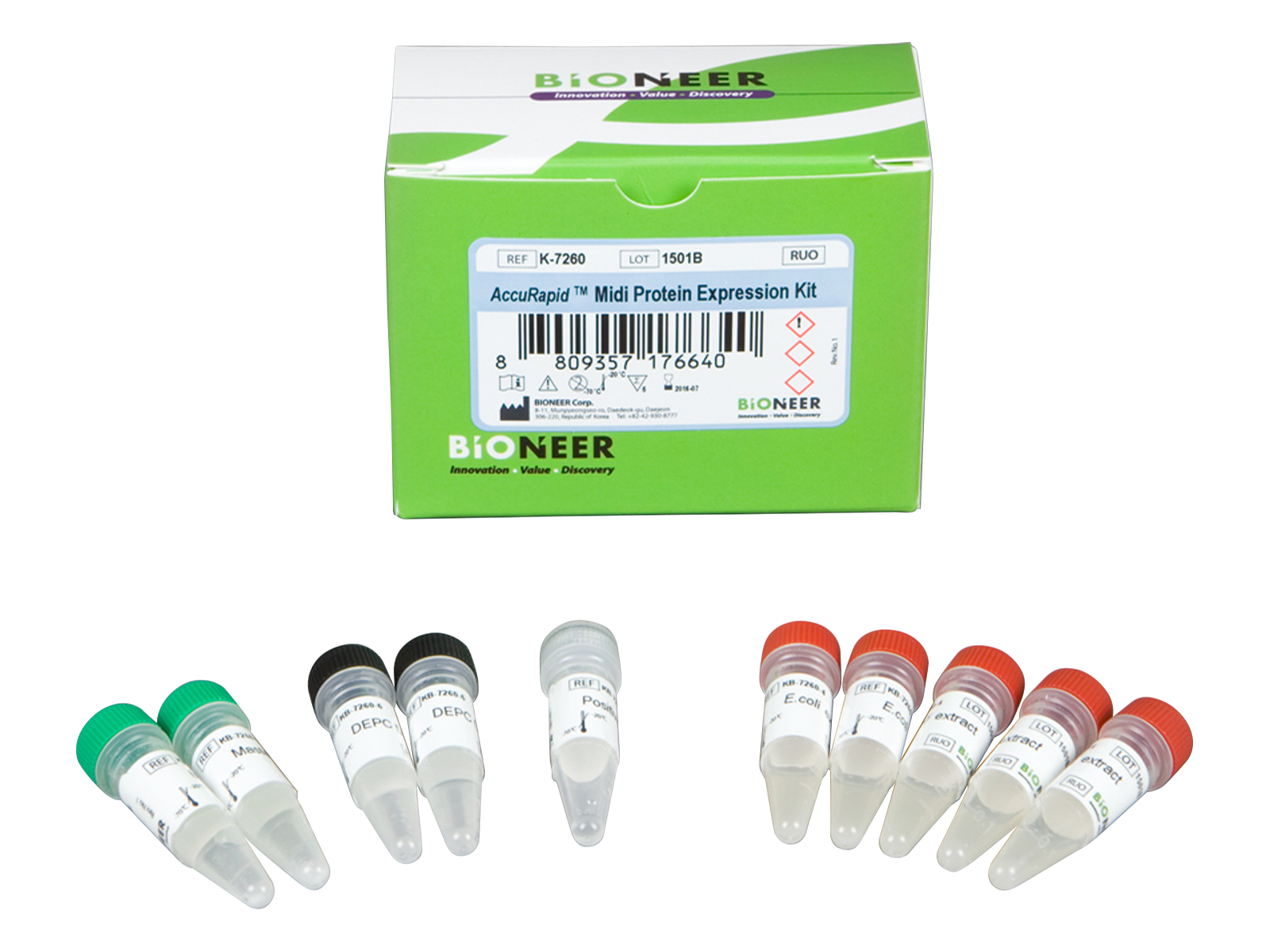 Bioneer AccuRapid Midi Protein Expression kit (5 reactions) - MSE Supplies LLC