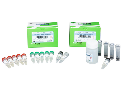 Bioneer AccuRapid Protein Synthesis Kit (5 reactions) - MSE Supplies LLC