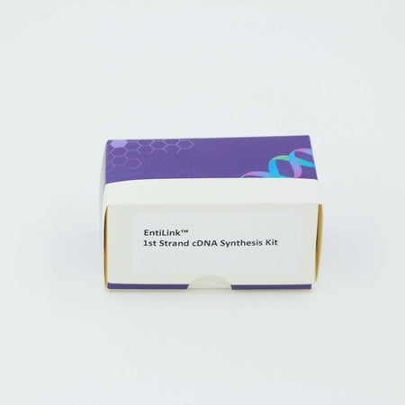 MSE PRO EntiLink 1st Strand cDNA Synthesis Kit (+gDNA Eraser)