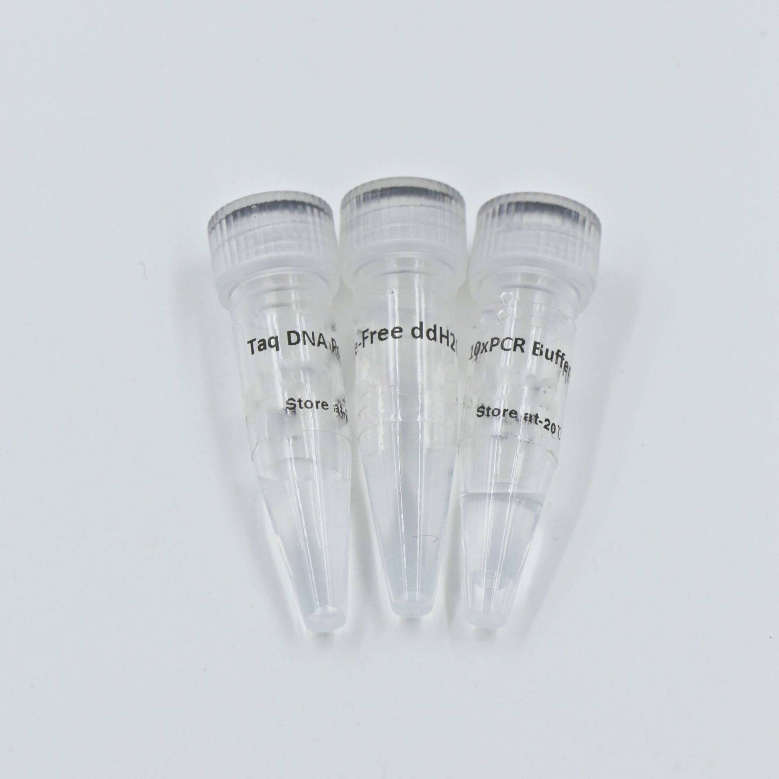 MSE PRO Taq DNA Polymerase