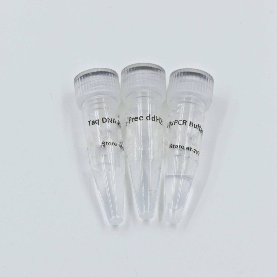 MSE PRO Taq DNA Polymerase