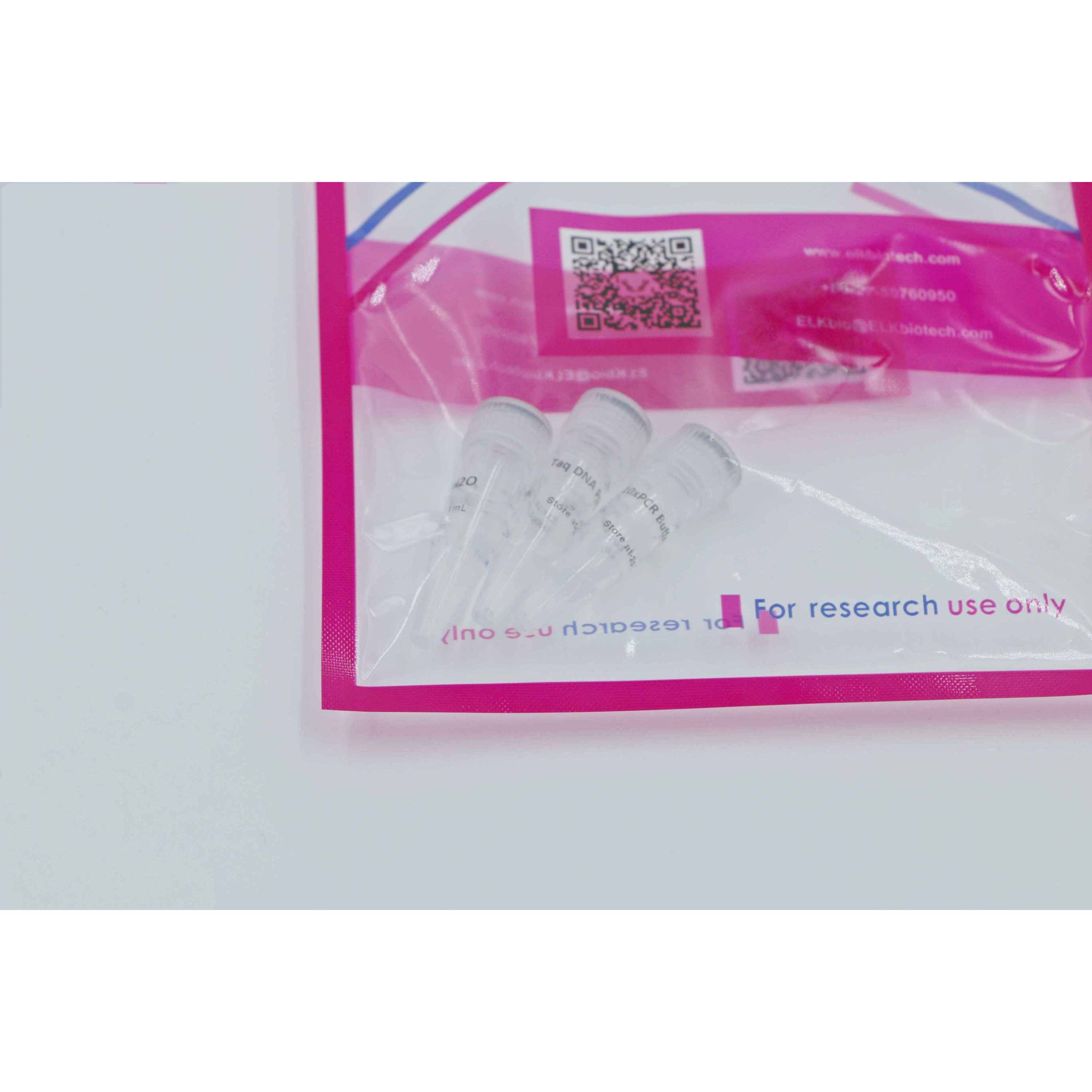 MSE PRO Taq DNA Polymerase