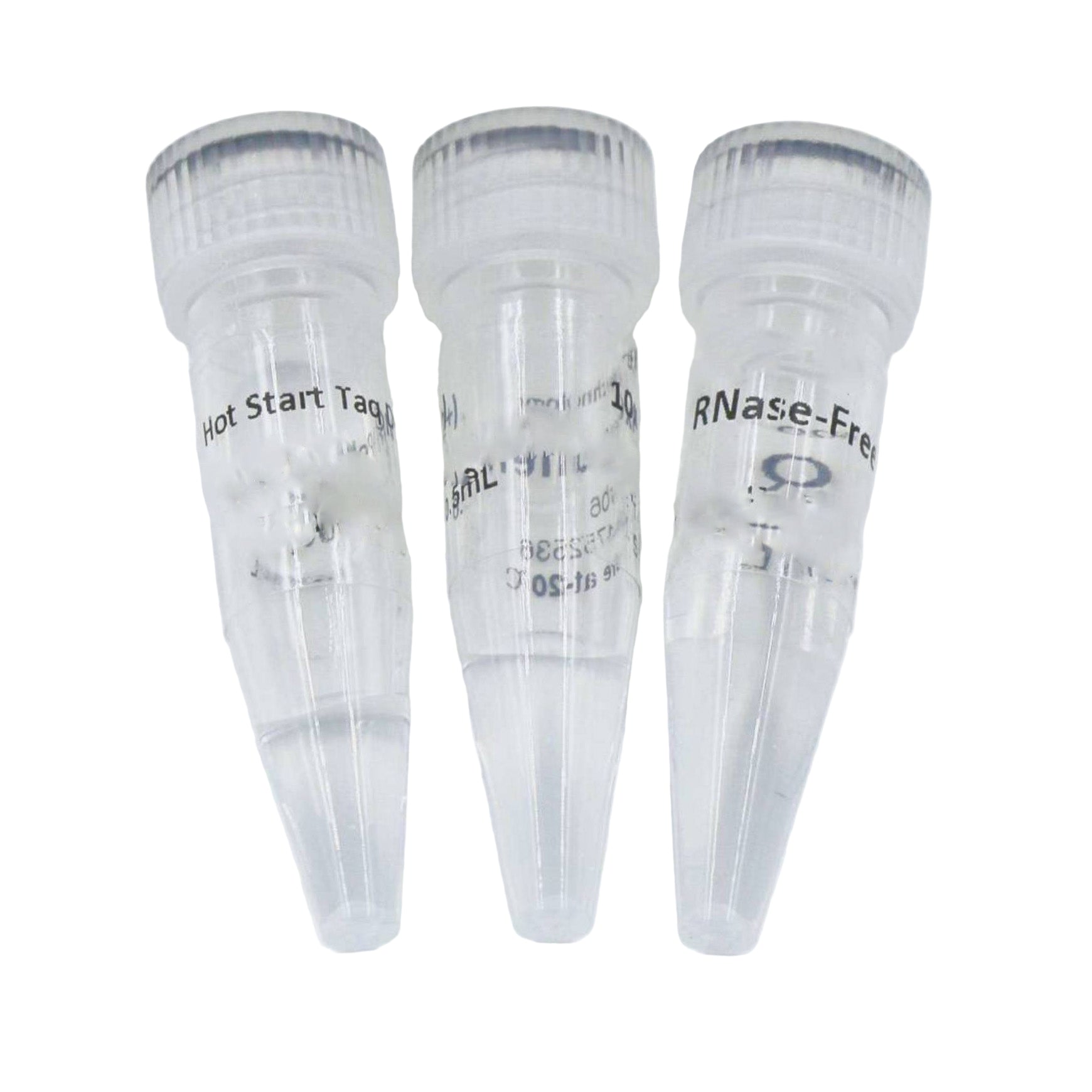 MSE PRO Hot start Taq DNA Polymerase