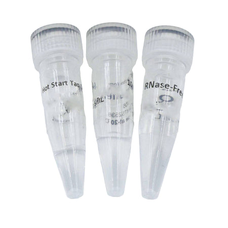 MSE PRO Hot start Taq DNA Polymerase