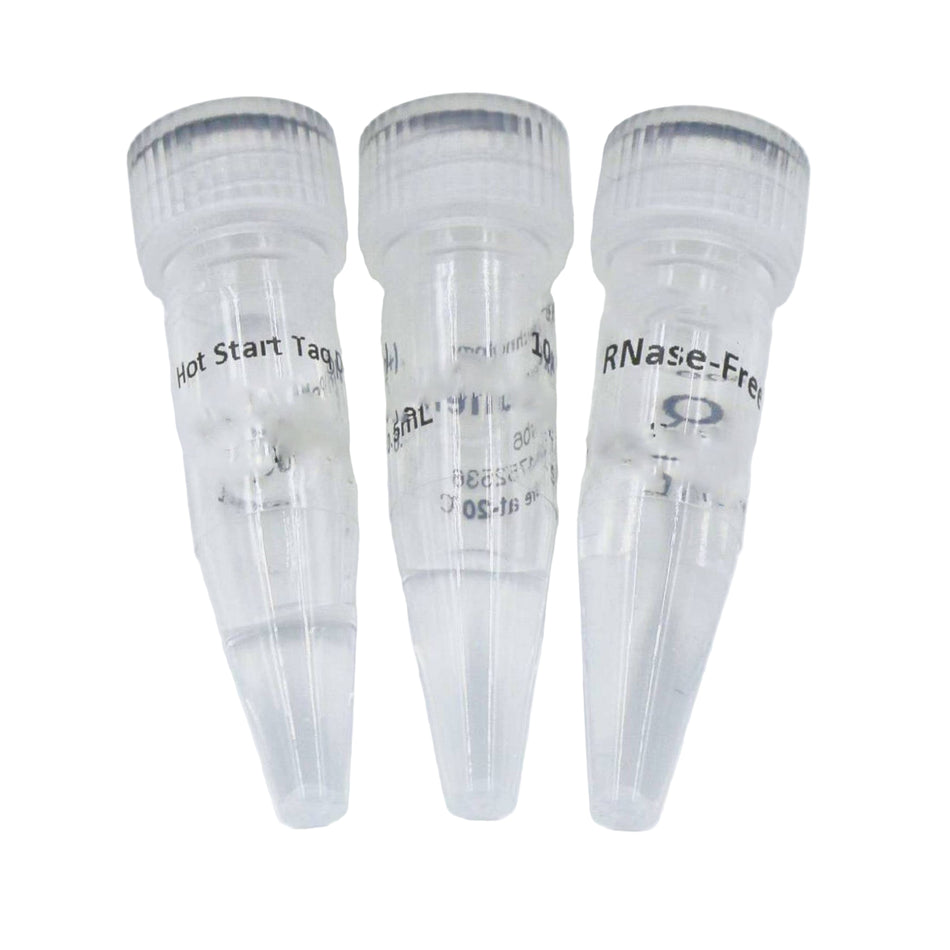 MSE PRO Hot start Taq DNA Polymerase