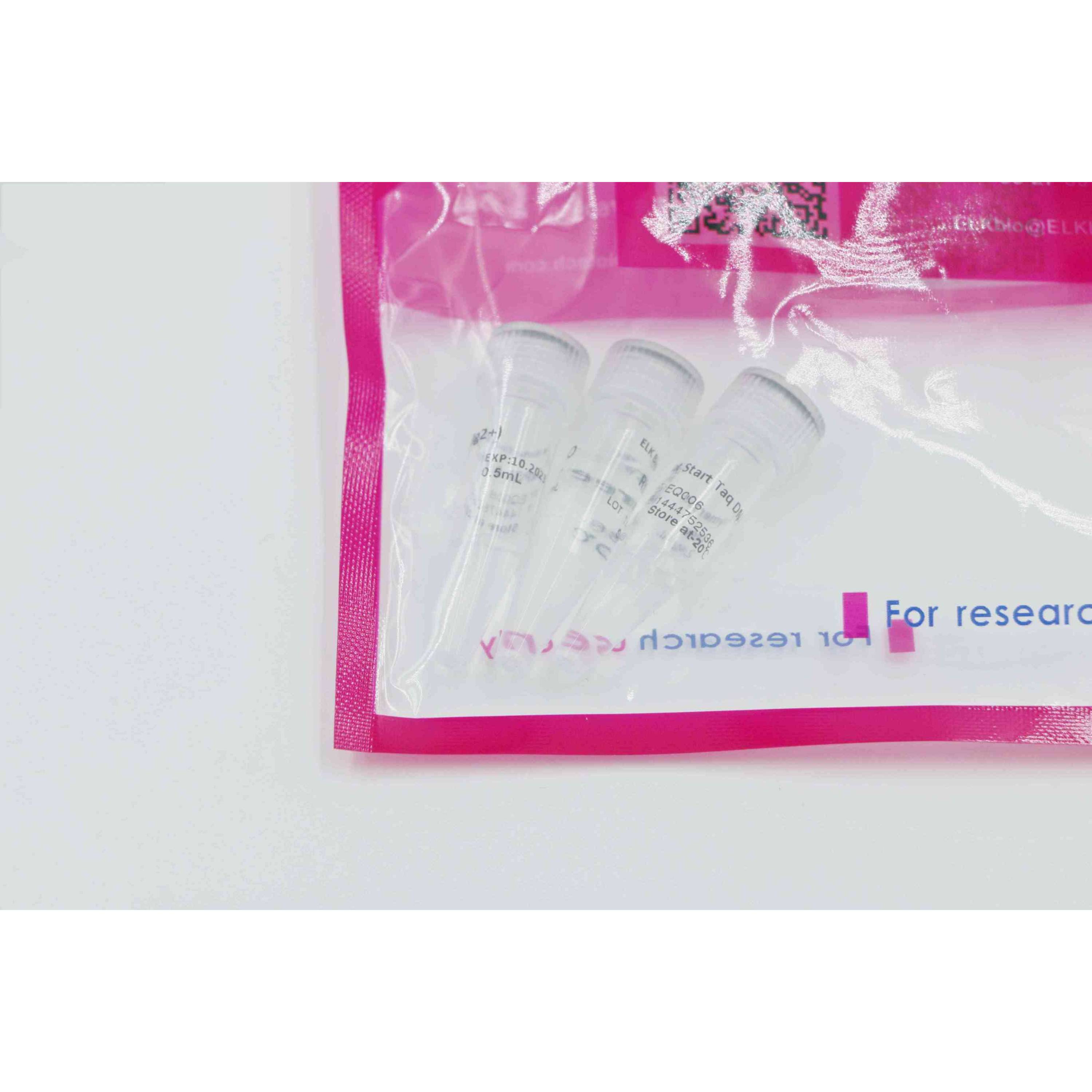 MSE PRO Hot start Taq DNA Polymerase