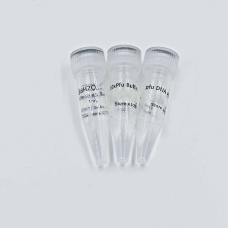 MSE PRO Pfu DNA Polymerase