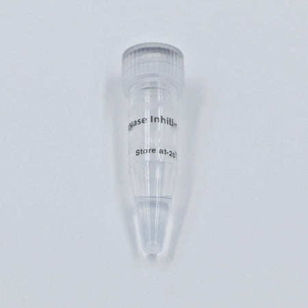 MSE PRO RNase Inhibitor