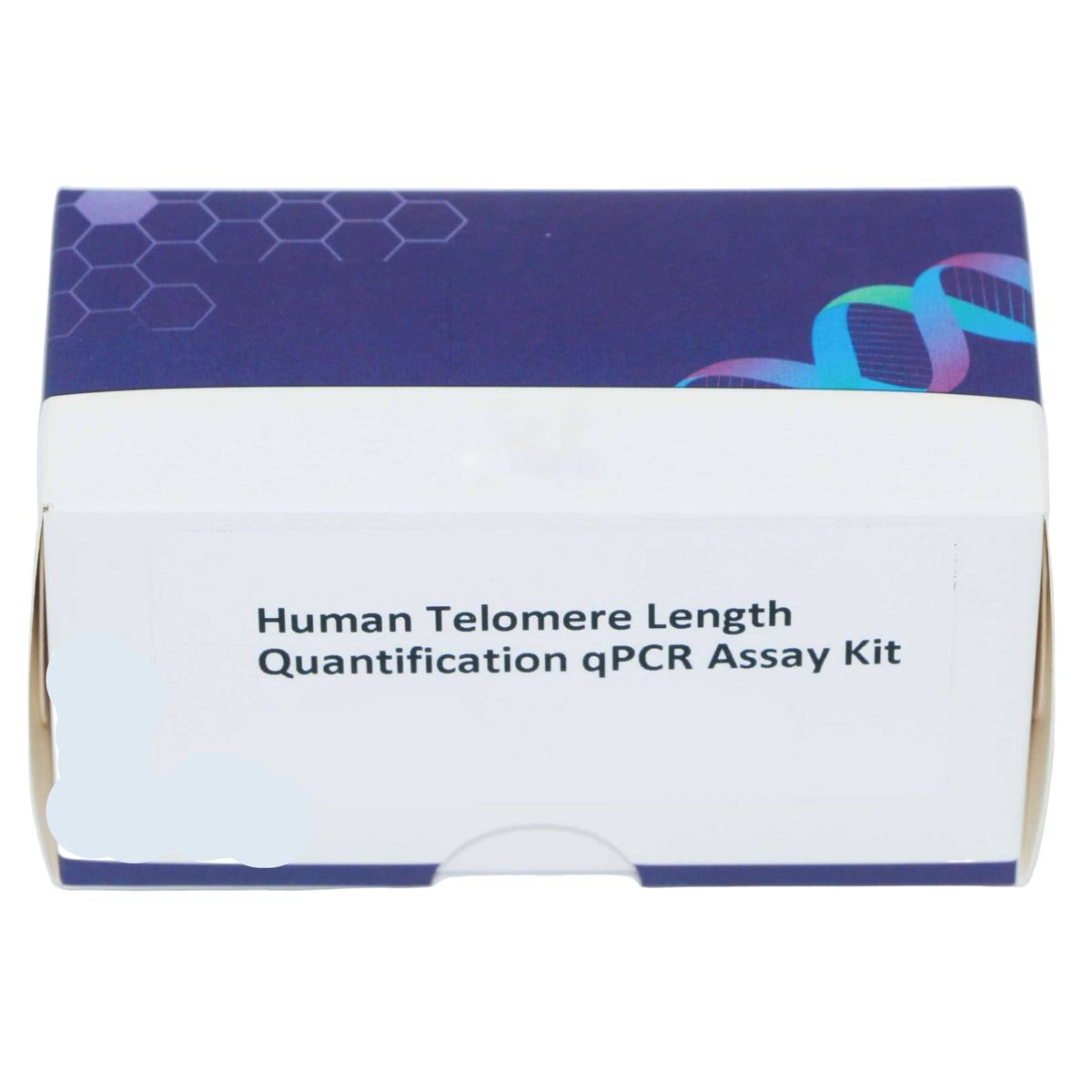 MSE PRO Human Telomere Length Quantification qPCR Assay Kit(Relative)
