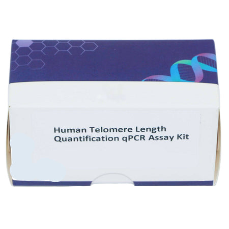 MSE PRO Human Telomere Length Quantification qPCR Assay Kit(Relative)