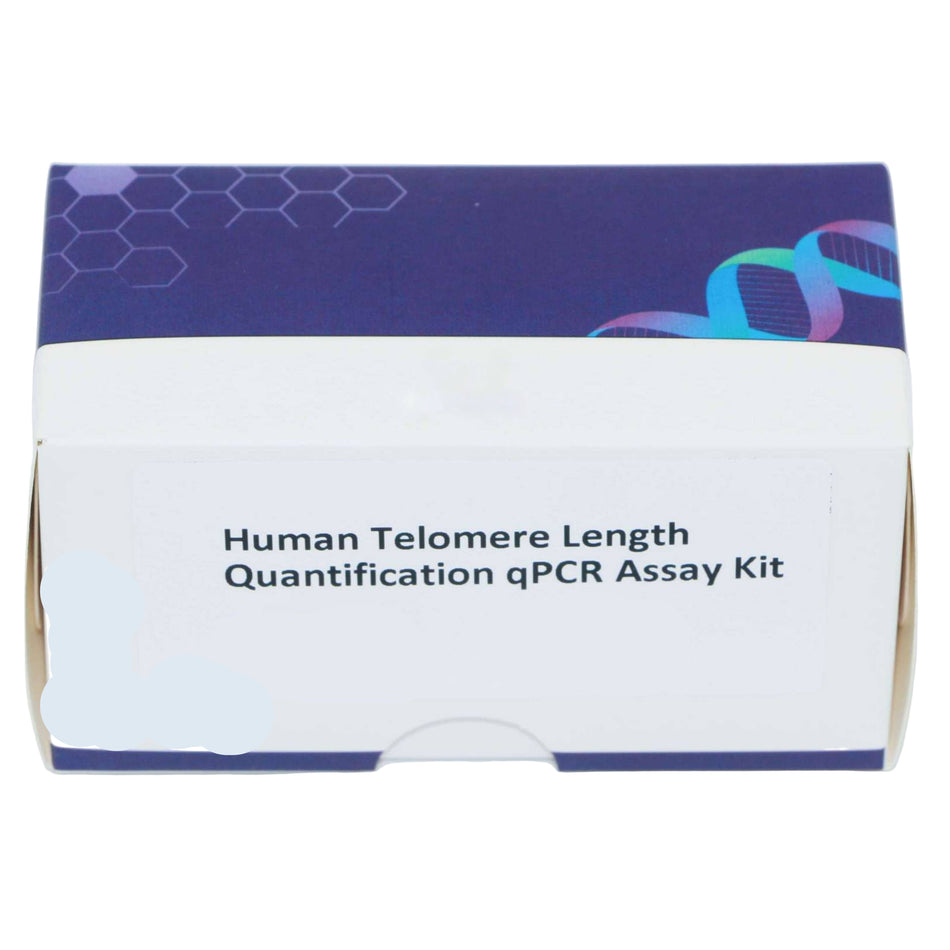 MSE PRO Human Telomere Length Quantification qPCR Assay Kit(Relative)