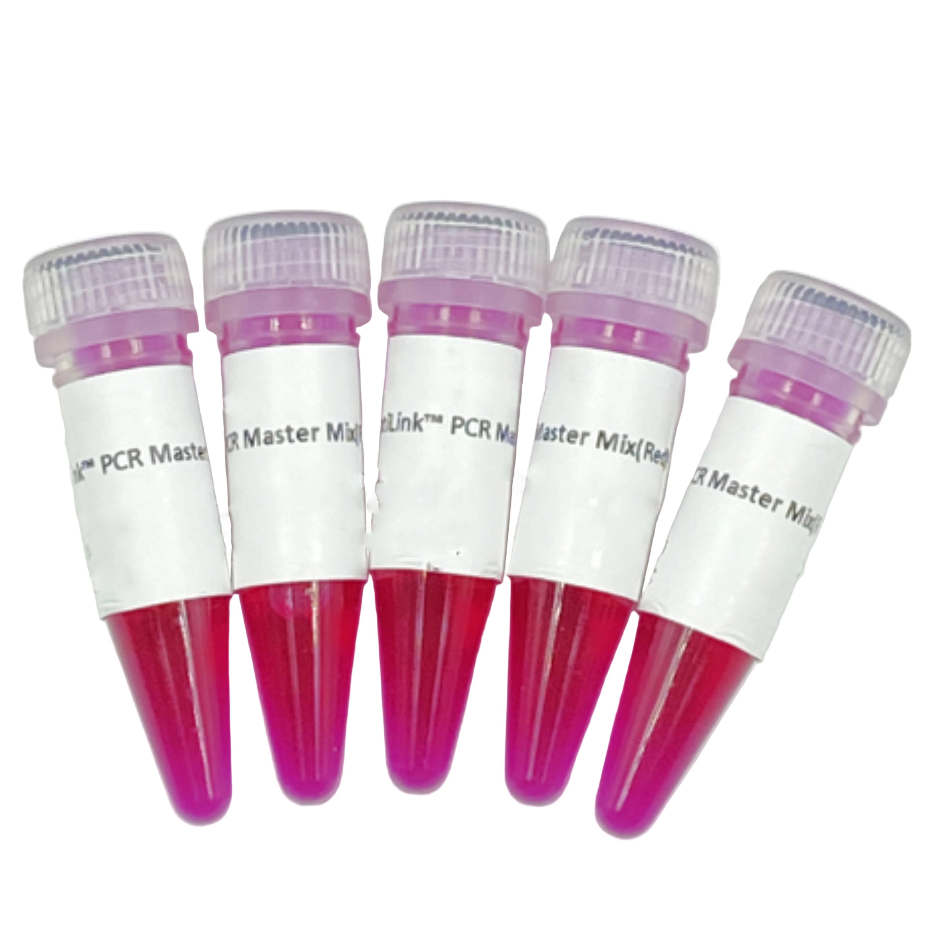 MSE PRO EntiLink PCR Master Mix(Red)